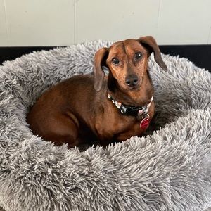 Meet your Posher, Carrie